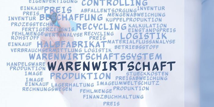 Warenwirtschaftssystem