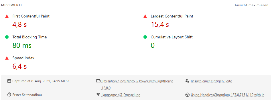 Screenshot von einem Google Lighthouse Ergebnis