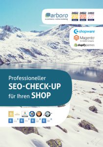 SEO-Check-Up Broschüre